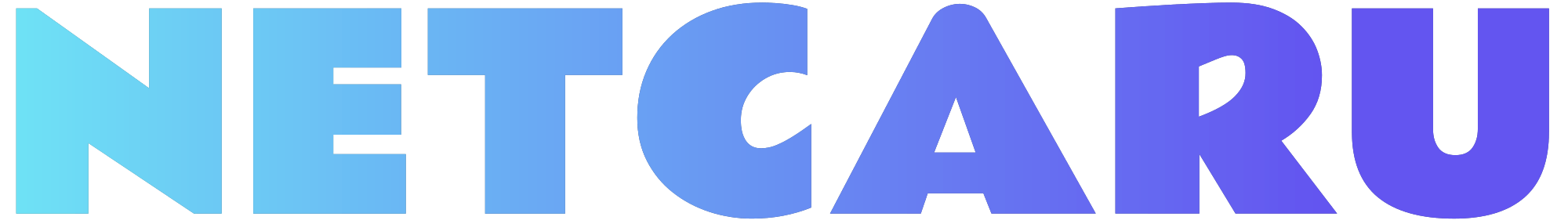 Netcaru Logo